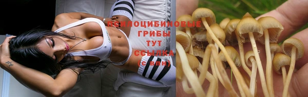 спиды Алексин