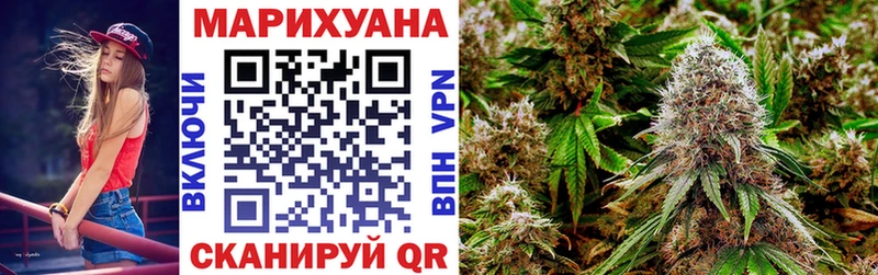 Бошки Шишки семена  shop клад  Чадан 